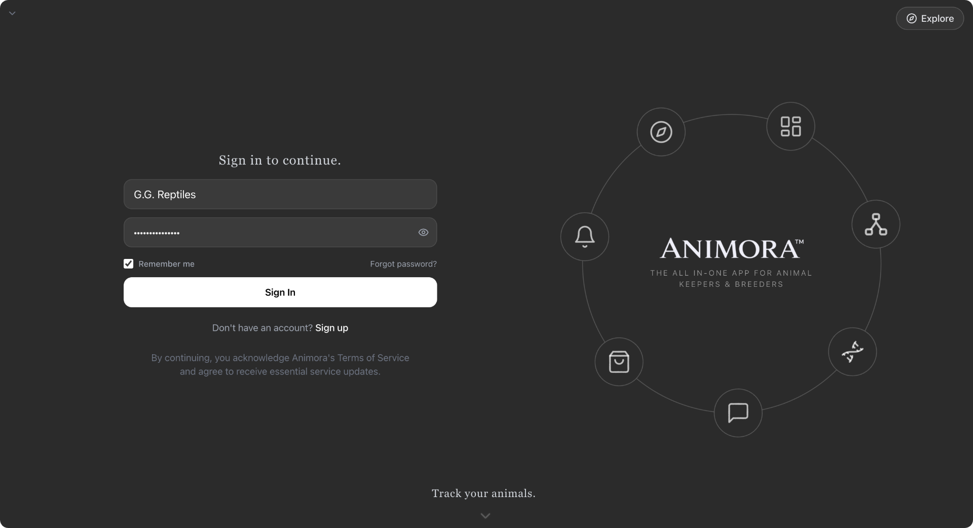 Animora website preview