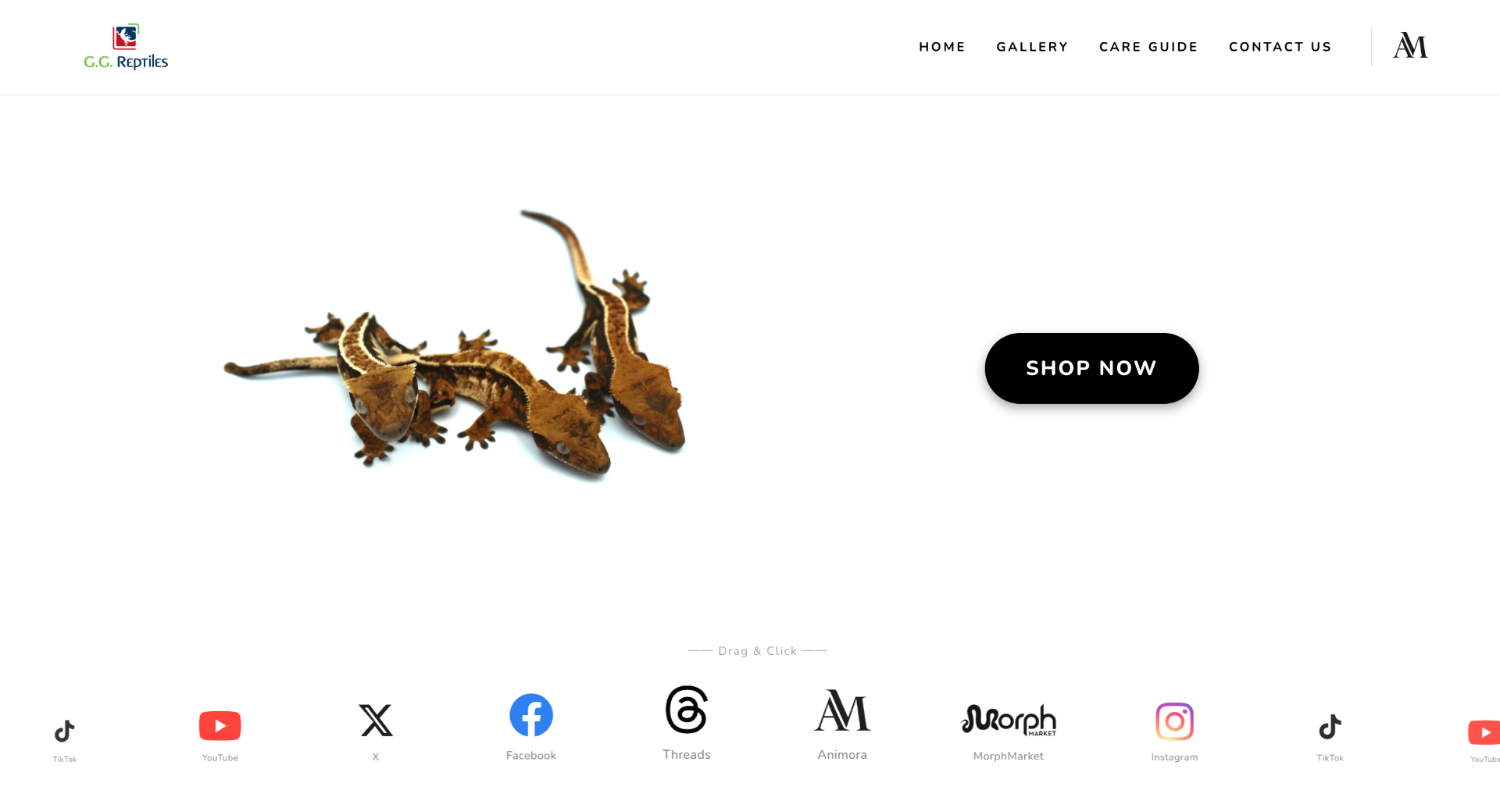 GG Reptiles website preview
